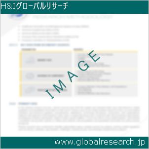 グローバルリサーチ調査レポートのイメージ